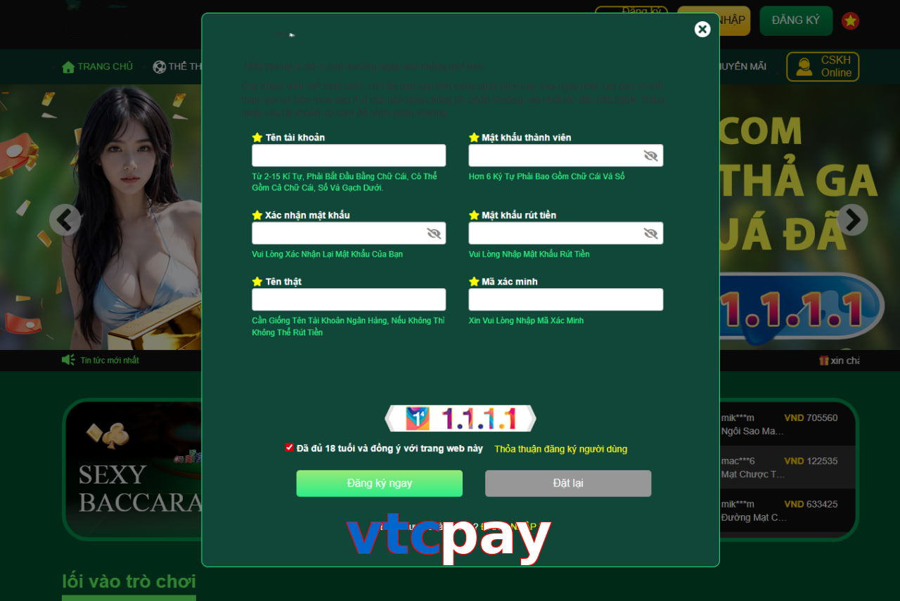 vtcpay